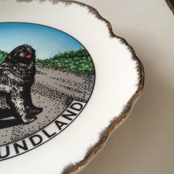 Newfoundland dog plate - Picture 4 of 6